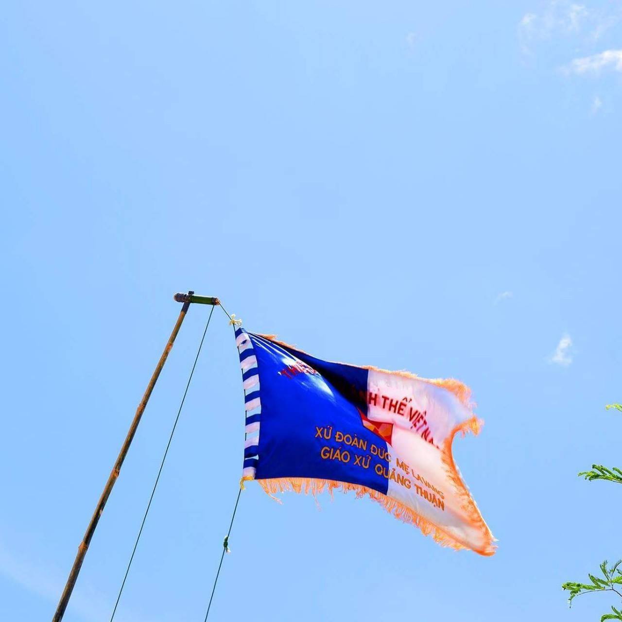 Cờ Đoàn Thiếu Nhi Thánh Thể Đức Mẹ La Vang